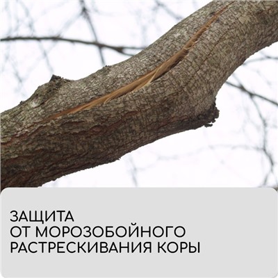 Лента для подвязки растений, 10×0.02 м, плотность 60 г/м², набор 2 шт., спанбонд с УФ-стабилизатором, белая, Greengo, Эконом 20%