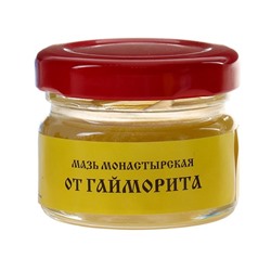 Мазь «Монастырская От гайморита», 25 мл, «Бизорюк»