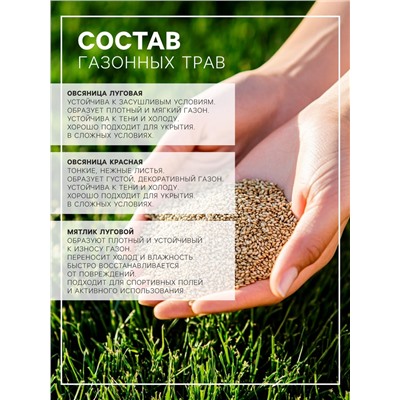 Газонная травосмесь «Красотень», «Гном» 1 кг