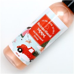 Гель для душа «Волшебной зимы», 100 мл, аромат малиновый пунш, Чистое счастье