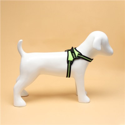 Шлейка улучшенная К7 мягкая светоотражающая, размер S, ОГ 44-55 см, вес 5-9 кг, зелёная