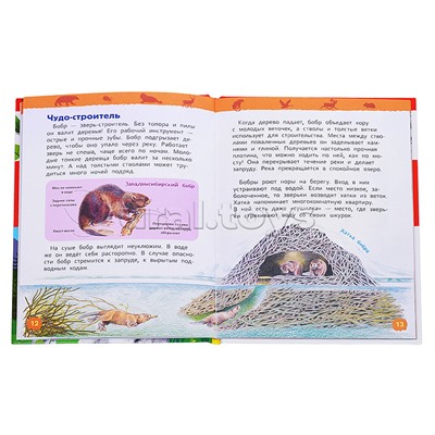 Красная книга России (Энциклопедия для детского сада)