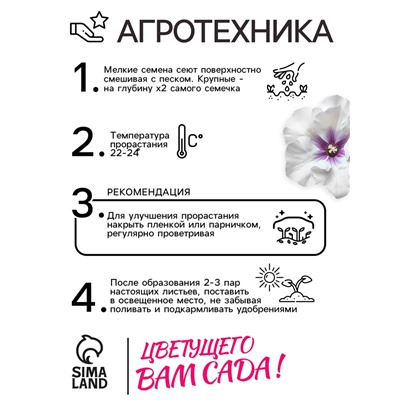 Семена комнатных цветов Глоксиния Аванти «Светло-фиолетовая», F1, «Гавриш», 4 шт.