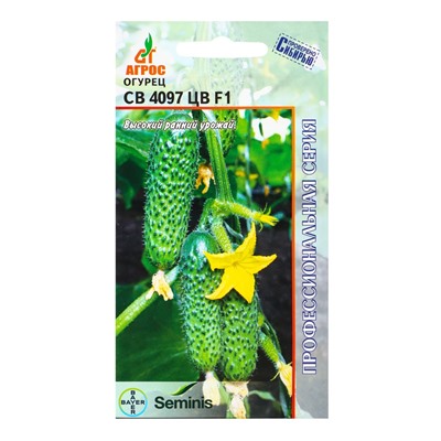 Семена Огурец, «СВ 4097 ЦВ», F1, 8 шт., Seminis, «Агрос»