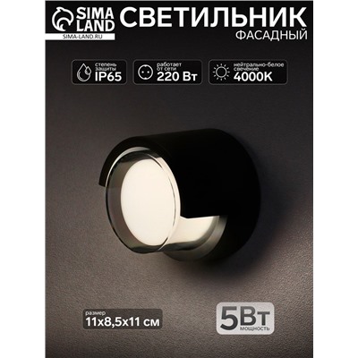 Светильник фасадный «Сити», 5 Вт, 4000К, IP65, 220 В, пластиковый корпус, чёрный, свечение нейтрально-белое