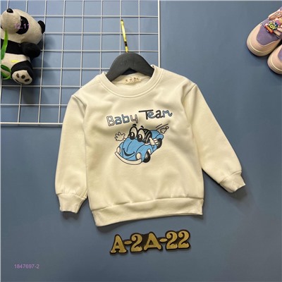 кофта с начесом 1847697-2