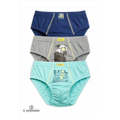 Трусы 3 шт. PELICAN, 684445