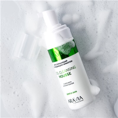 ARAVIA Professional Мусс очищающий с охлаждающим эффектом с алоэ вера и аллантоином Cool Cleansing Mousse, 160 мл/8