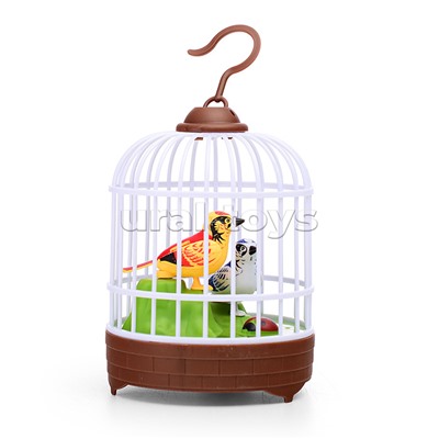 Интерактивная игрушка "Птичка" в коробке