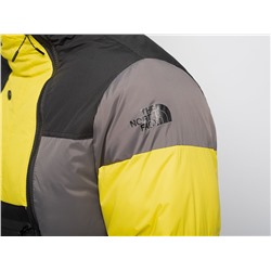 Куртка зимняя The North Face