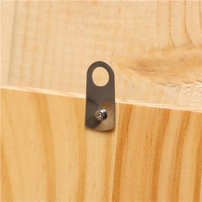 Термометр для бани и сауны «Банщик» 25.5×12.5 см, деревянный, «Добропаровъ»