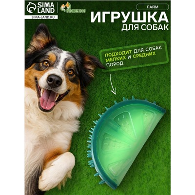 Игрушка охлаждающая для собак «Лайм», 12.5 см, TPR