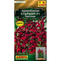 Лобелия Старшип F1 бургунди Мн (Аэлита)