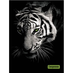 Ежедневник недатированный А6 96 стр. "Тигр" С1365-94 АппликА