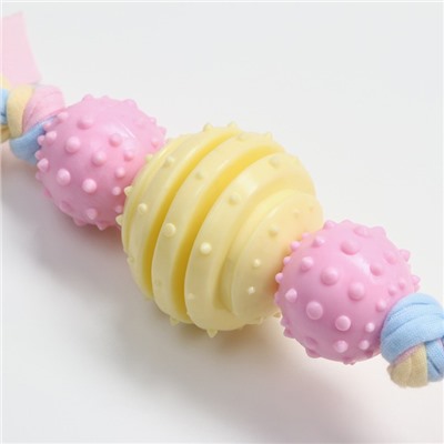 Игрушка жевательная Пижон Premium на верёвке, 3 элемента, термопластичная резина, МИКС