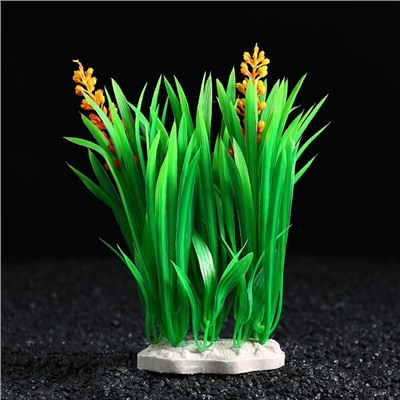 Островок с растениями искусственными для аквариума, 17×12×22 см