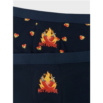 ТРУСЫ МУЖСКИЕ (2ШТ) 411228-2