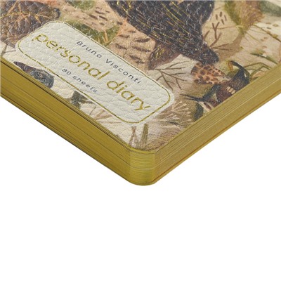 Еженедельник недатированный А6 160 стр. ЛАЙТ "Fauna.Птицы" 3-741/08 Bruno Visconti