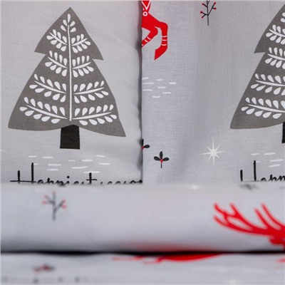 Постельное бельё 1.5-спальное «Этель» Cozy winter, бязь