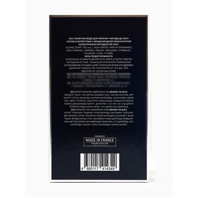 Туалетная вода мужская Brandy De Bleu, 100 мл