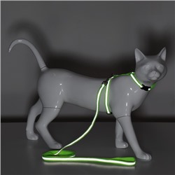 Комплект для кошек светоотражающий, ширина 1 см, шлейка 21-35 см, поводок 120 см, зелёный
