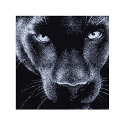 Полотенце махровое Этель «Пантера» 70×130 см, 100% хлопок, 420 г/м², чёрно-белое