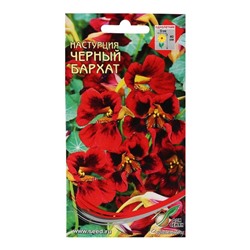 Семена цветов Настурция «Черный Бархат», 9 шт., «Дом семян»