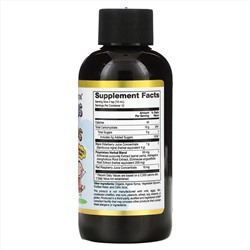 California Gold Nutrition, Бузина для детей, сироп из европейской черной бузины с эхинацеей, 4 жидких унции (120 мл)