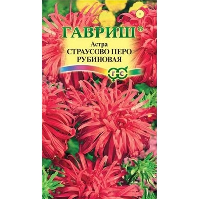 Астра Страусово перо Рубиновая (Код: 92897)