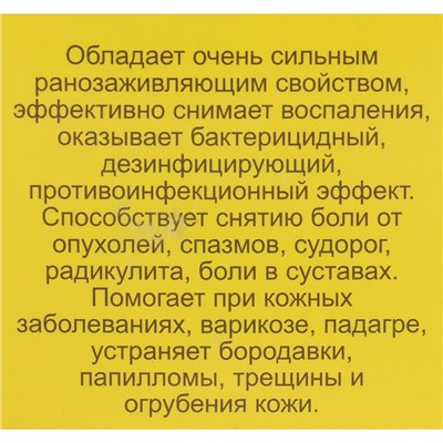 Мазь «Монастырская Живица с Мухомором». Ранозаживляющая. Стекло. 28 мл.