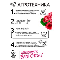 Семена комнатных цветов Глоксиния Аванти "Персиково-розовая", ц/п,  F1, 8 шт.