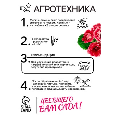 Семена комнатных цветов Глоксиния Аванти "Персиково-розовая", ц/п,  F1, 8 шт.