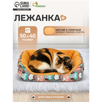 Лежанка для животных + ротанговый коврик, 50×40×15 см, бежево-серая