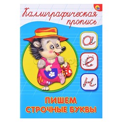 Каллиграфическая пропись А5. Пишем строчные буквы