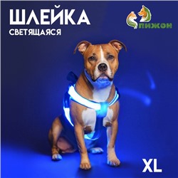 Шлейка светящаяся размер XL, стропа 2.5 см, ОГ 60-70 см, 3 режима свечения голубая