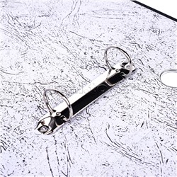 Папка на кольцах A4 2 кольца диаметром 35 мм PP черная