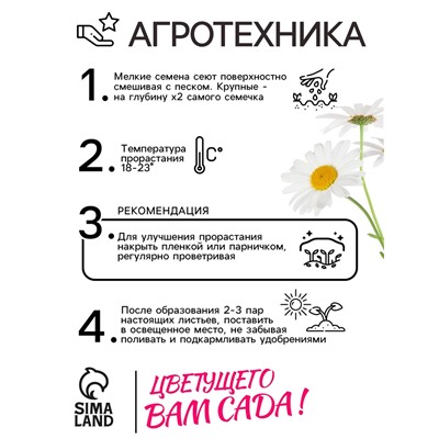 Семена цветов Ромашки "Аляска", 0,3 г