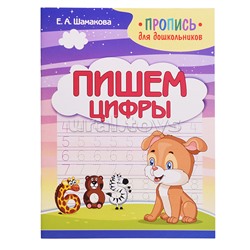 Пропись для дошкольников. Пишем цифры.