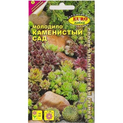 Молодило Каменистый сад (Код: 7774)