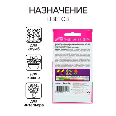 Семена комнатных цветов Пеларгония "Виолет", 4 шт.