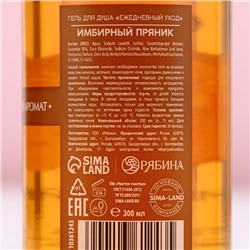 Гель для душа, 300 мл, аромат имбирного пряника, Чистое счастье