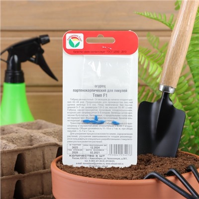 Семена Огурец Темп F1,партенокарпический, 5 шт