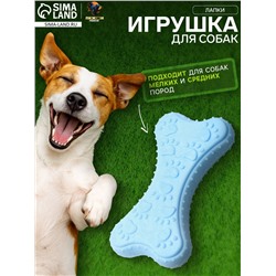 Игрушка плавающая «Лапки» Пижон Premium, вспененный TPR, 10.5×5.5×2 см, голубая