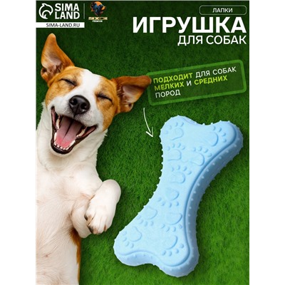 Игрушка плавающая «Лапки» Пижон Premium, вспененный TPR, 10.5×5.5×2 см, голубая