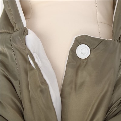 Комбинезон с подкладом «Дракоша», размер L, ДС 35, ОГ 45 см, вес 8-10 кг, хаки