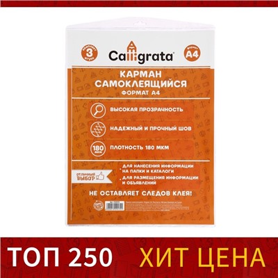 Карман самоклеящийся А4, 223×303 мм, комплект 3 штуки, Calligrata, 180 мкм, на лицевую сторону папок и любые гладкие поверхности