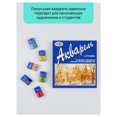 Набор красок акварельных художественных 12цв "Студия" 215002 полусухая Гамма