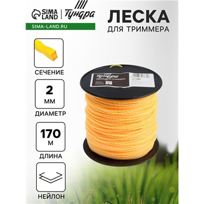 Леска для триммера ТУНДРА, сечение витой квадрат, d=2 мм, 170 м, нейлон