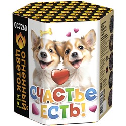 Фейерверк ОС7260 Счастье есть! (1,1" х 19)