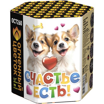 Фейерверк ОС7260 Счастье есть! (1,1" х 19)